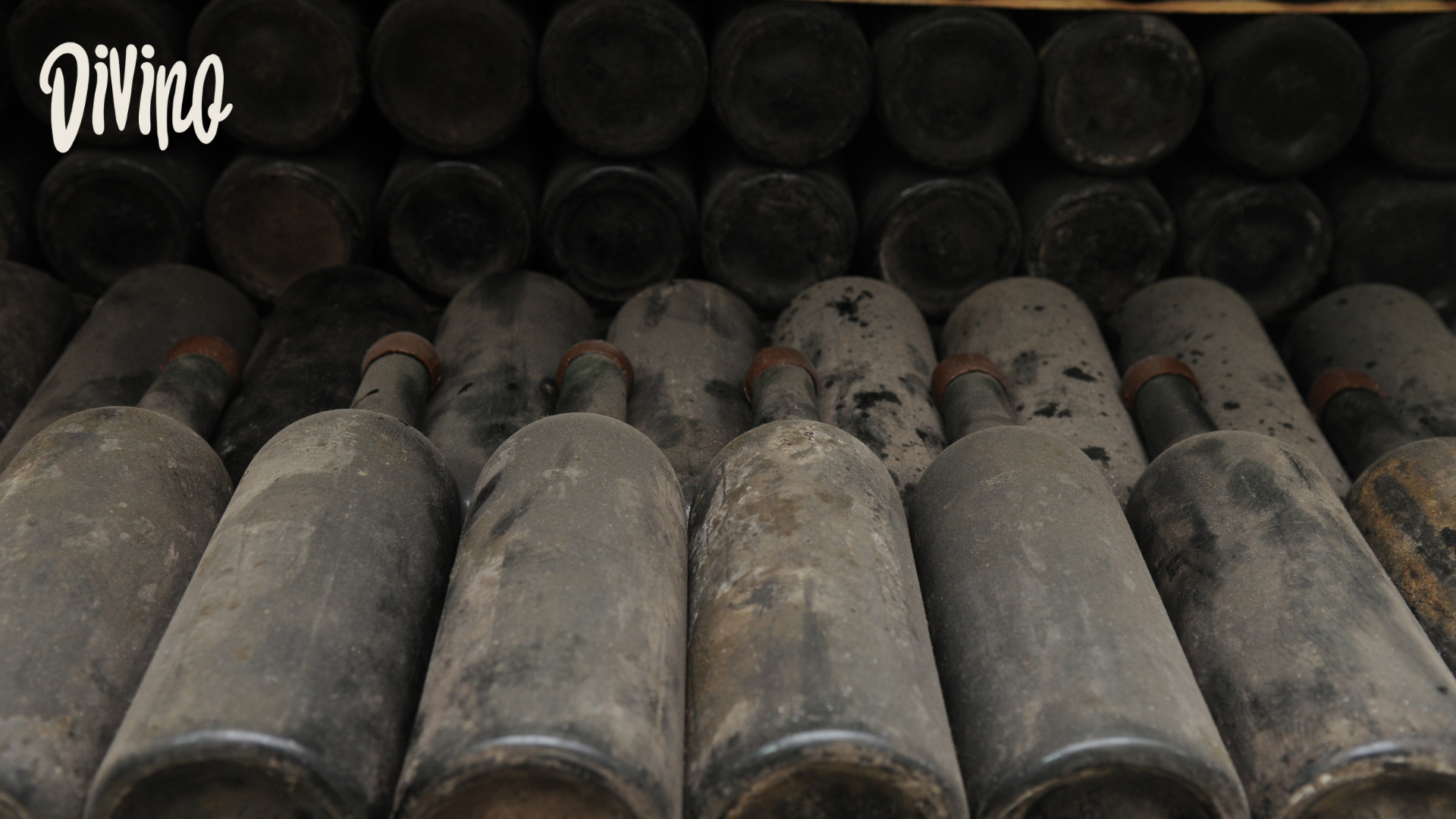 Every Bottle of Wine is a Time Machine