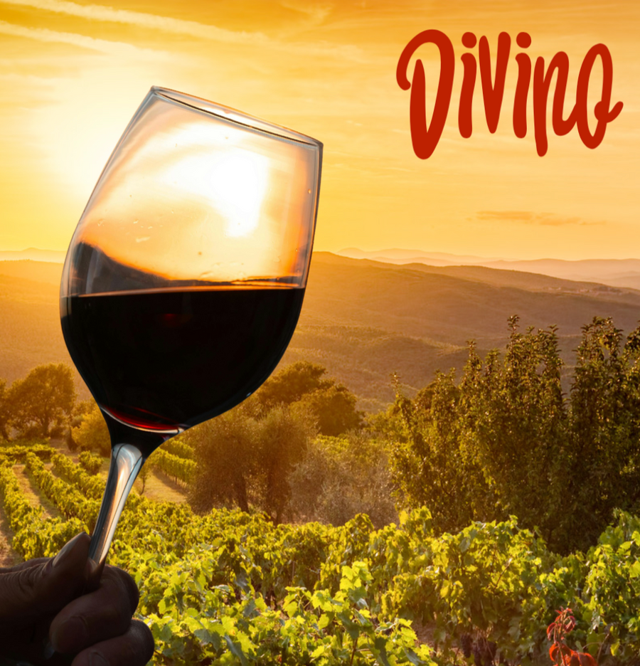 Taste of Tuscany Chianti Gift Box